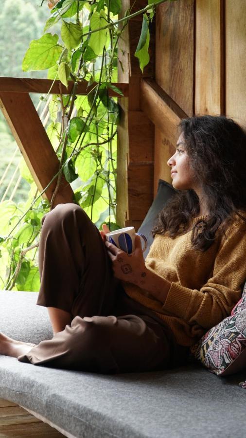 Creo Ecolodge Jardín Zewnętrze zdjęcie