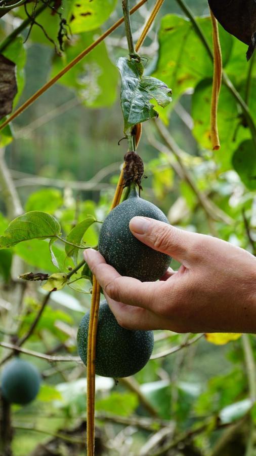 Creo Ecolodge Jardín Zewnętrze zdjęcie