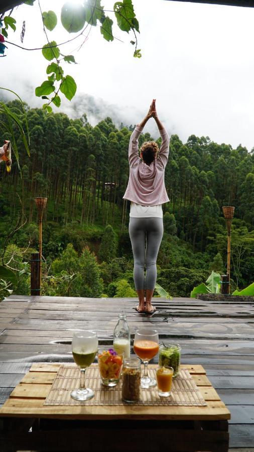 Creo Ecolodge Jardín Zewnętrze zdjęcie